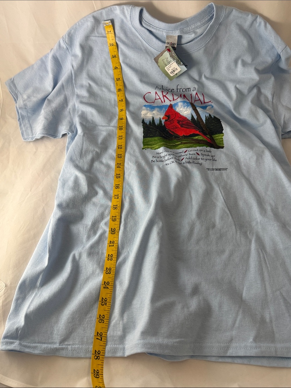 Advice from a Cardinal Graphic Tee - Light Blue - Picture 5 of 8